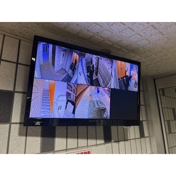 セントポーリアカルーア 画像2