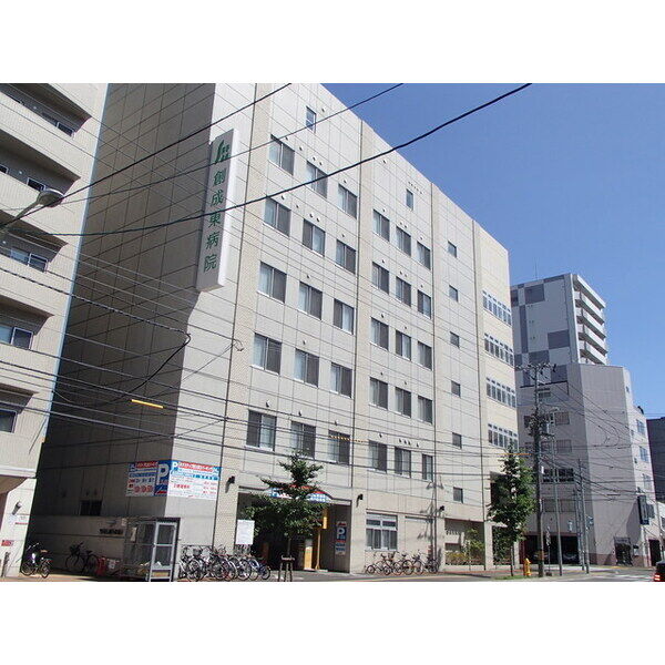 セントポーリアカルーア 画像10