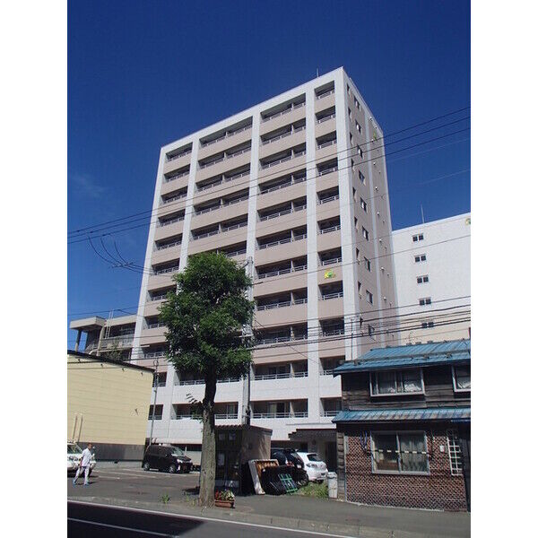 セントポーリアスィート 画像1