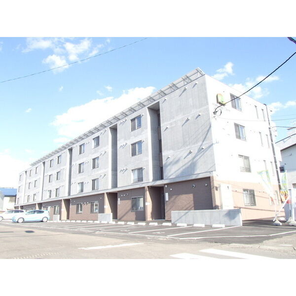 セントポーリアシェリル 画像1