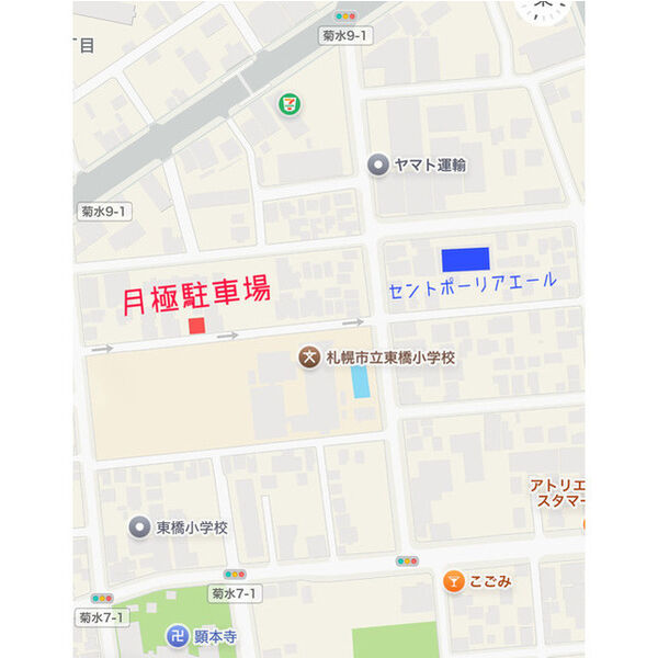 セントポーリアエール 画像6