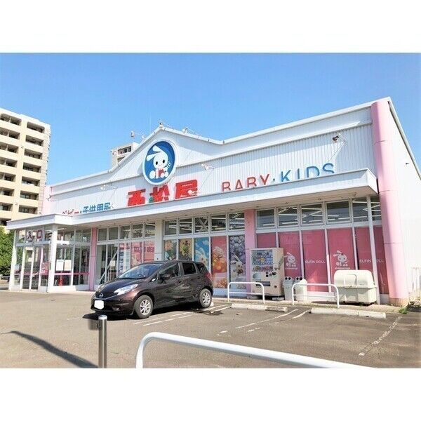 セントポーリアエール 画像10
