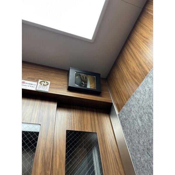 セントポーリアシュシュ 画像4