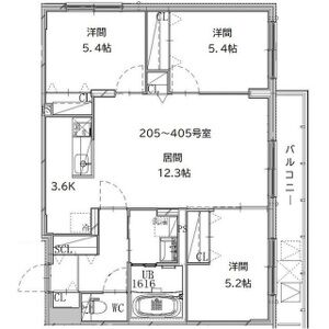 セントポーリアシュシュ 画像17
