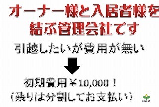 エスコートS11 画像5