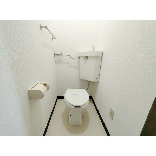 フロスティ菊水E 画像13