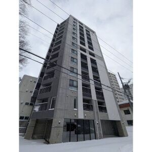 WELLZ N5(ウェルズN5)