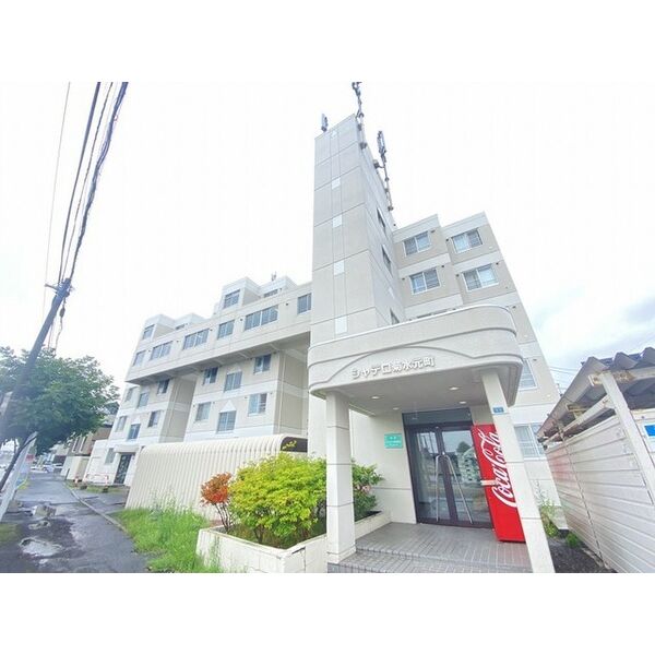 シャテロ菊水元町 画像1