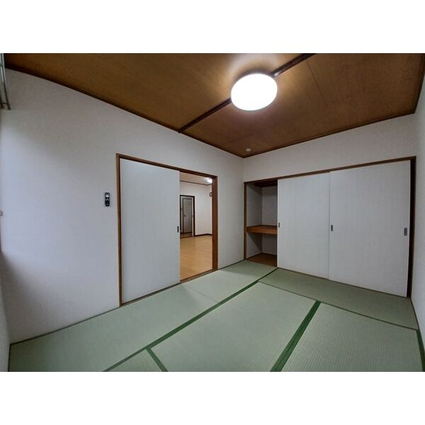 ピート 300 画像4