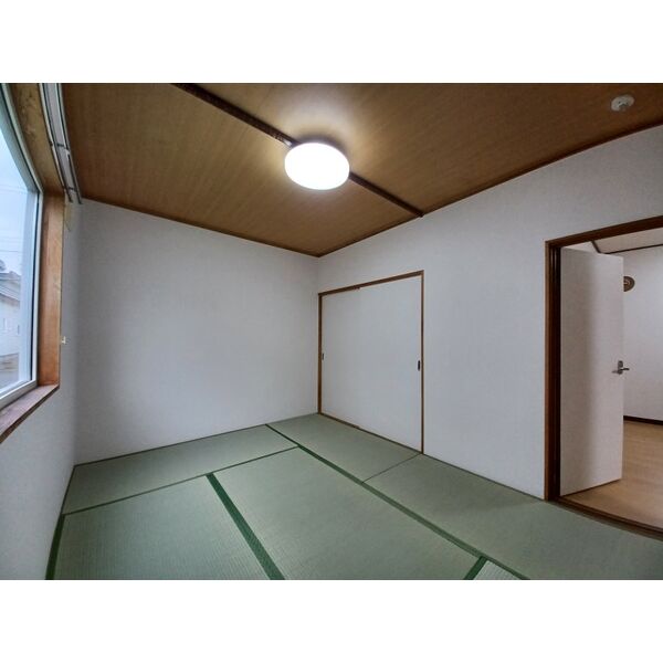 ピート 300 画像5