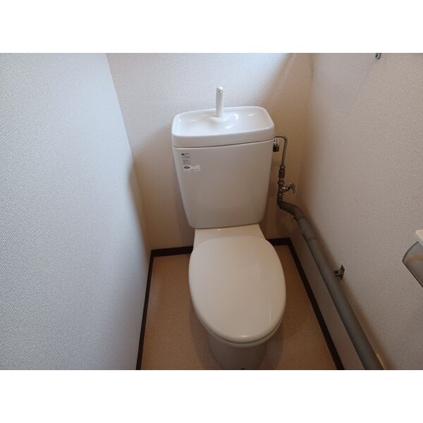 ピート 300 画像8