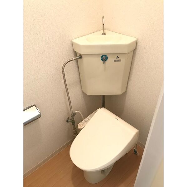 ニューポート 画像4