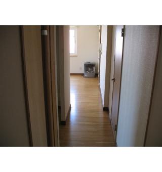 アイリス31 画像7