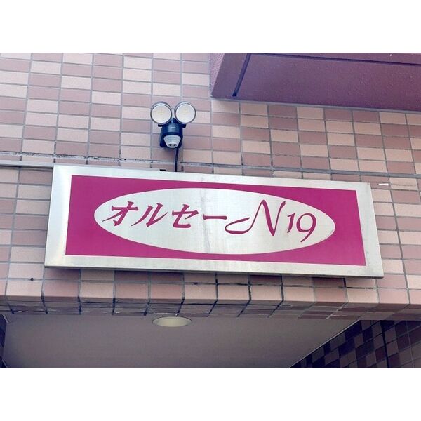オルセーN19 画像2