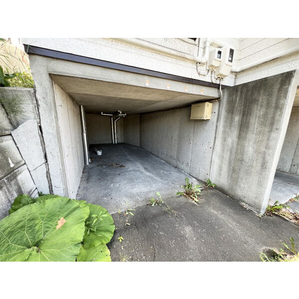 TS札幌 画像9