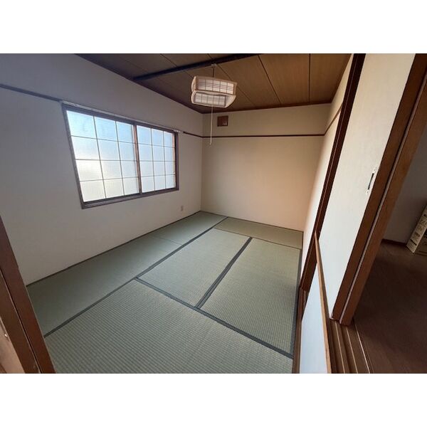 Maxcel3/100 画像6