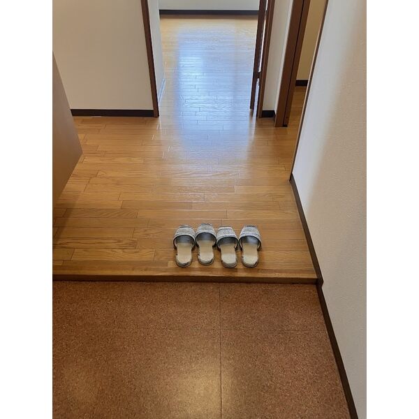 三和マンション(サンワマンション) 画像7
