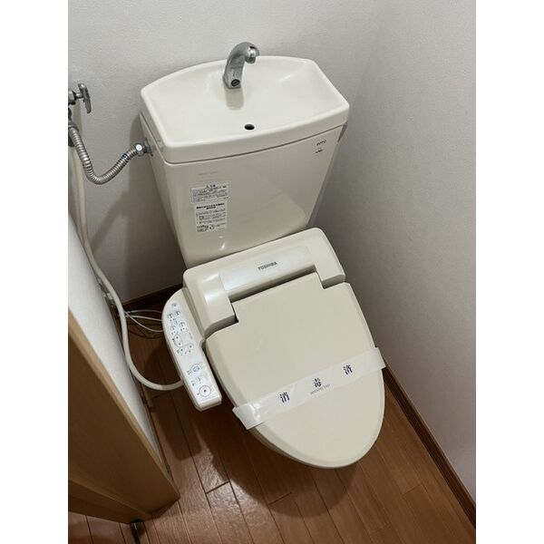 グレース39 画像10