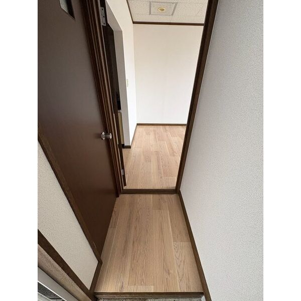 セントポーリア 画像3