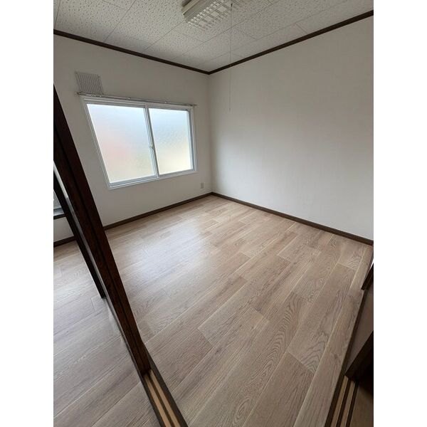 セントポーリア 画像8