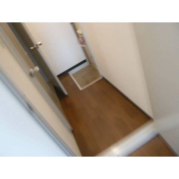 AMS N19 画像5
