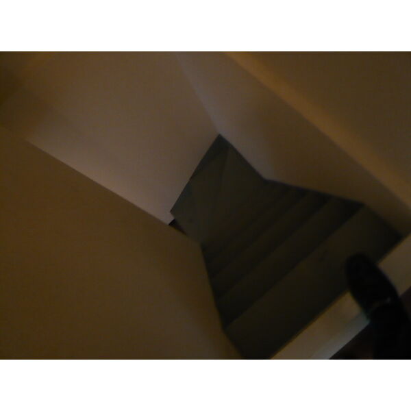 AMS N19 画像6