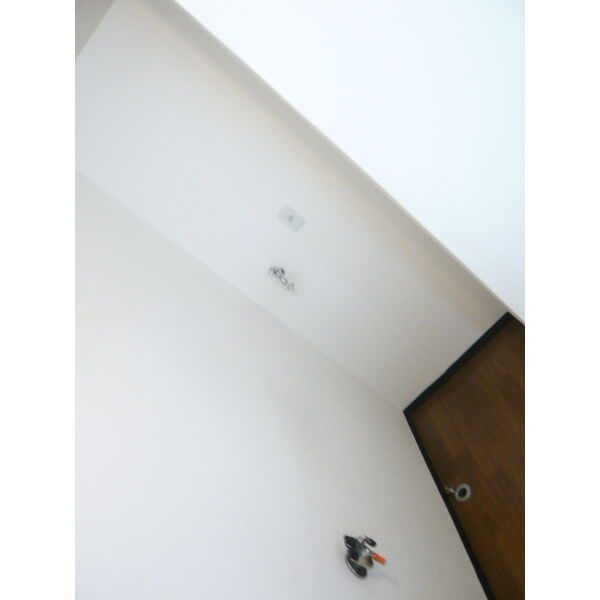 AMS N19 画像11
