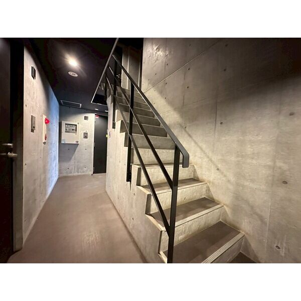 C-SELECTION.STELLAII 画像5