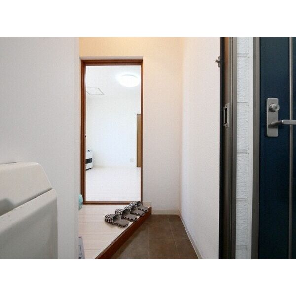 Palm　Hill　光星 画像14
