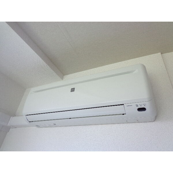Sunny Spot 画像14