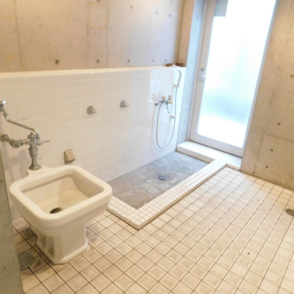 ピジェブラン太子橋の外観7枚目