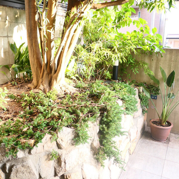 岡本Rd12の外観6枚目