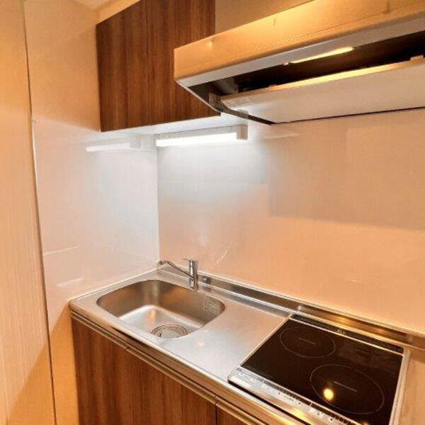 エレガントレジデンス中之島の室内写真4枚目