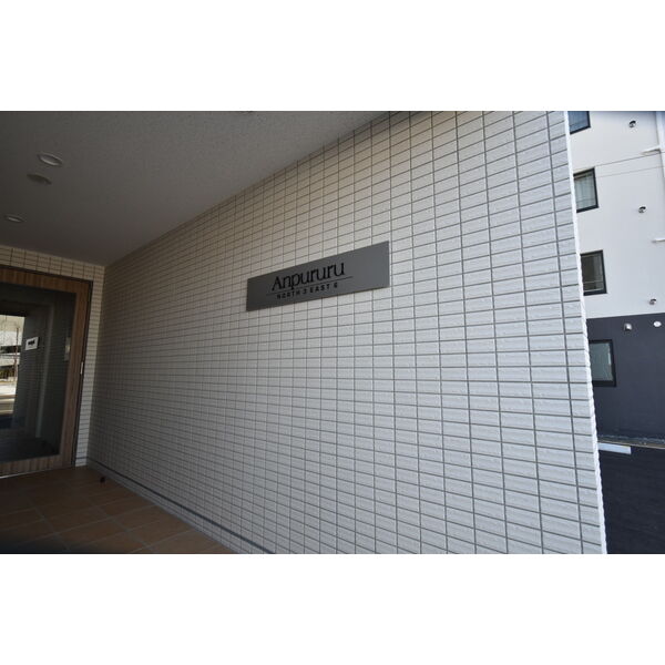 Anpururu(アンプル―ル) 画像4