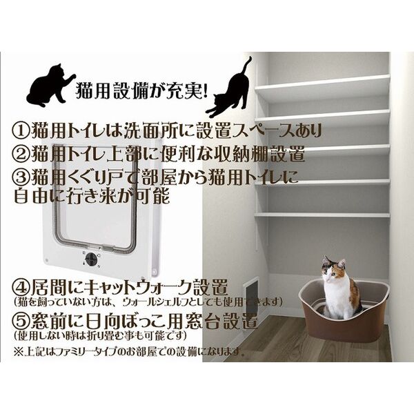necofilo元町(ネコフィーロ元町) 画像6