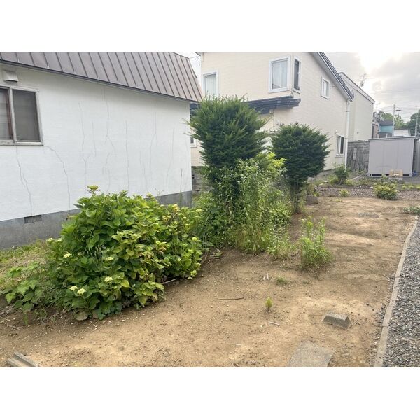 庭