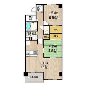 FLOOR
