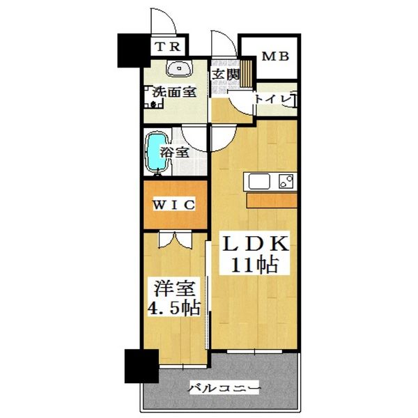 FLOOR