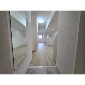 803号室の写真