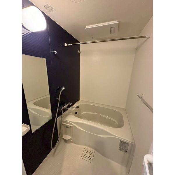 レクシア堺東の室内写真11枚目