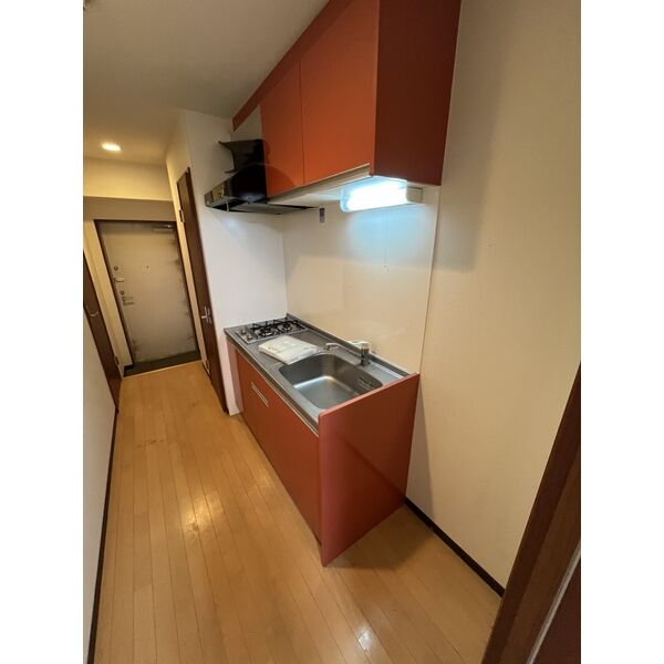 サムティ塚口レジデンスの室内写真2枚目