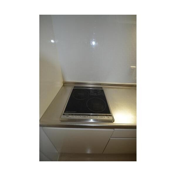 ハーミティジ槇の室内写真9枚目