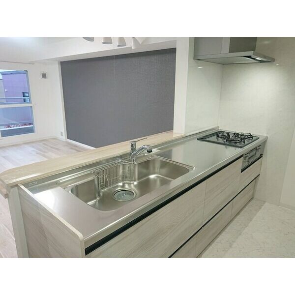 ファミール東苗穂 画像13
