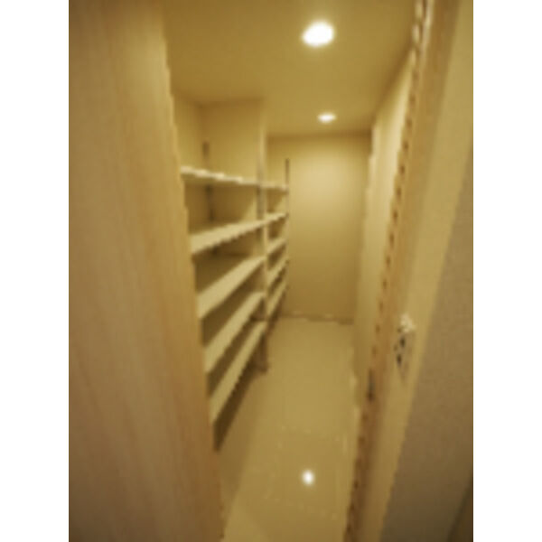 プレサンスロジェ森ノ宮の室内写真10枚目