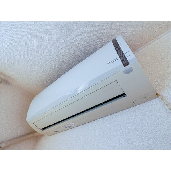 ステラ372 画像16