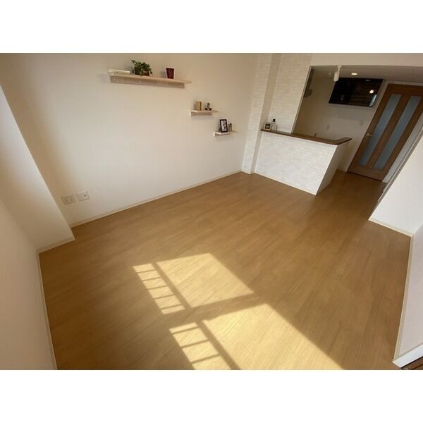 Premier Chouette 画像6