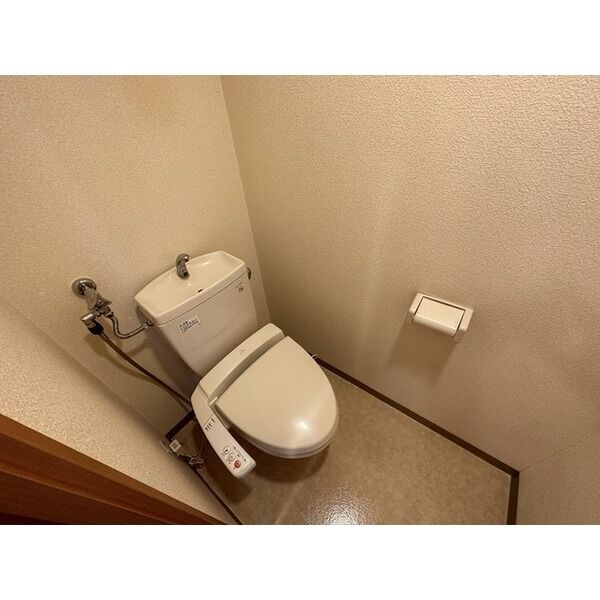 Comfort　812 画像14