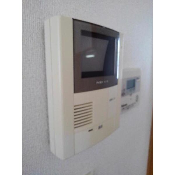 アクティブ豆の木 画像17