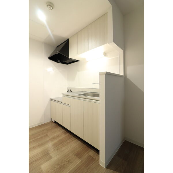 WIND HILLS West12(ウィンドヒルズ) 画像13