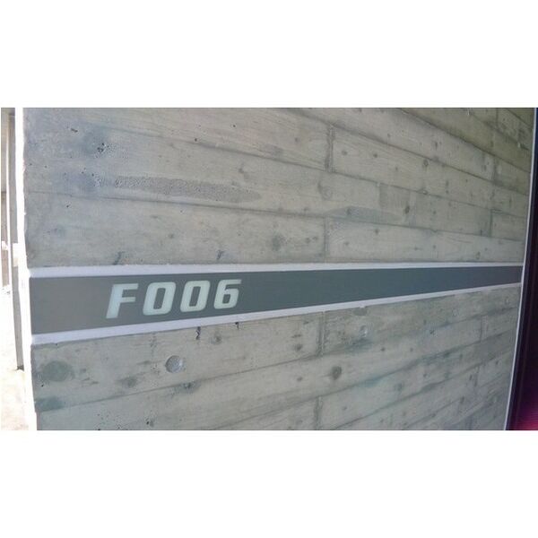 F006 画像2